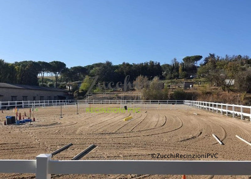 Horse Paddock: A Safe Environment