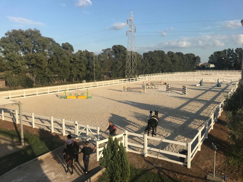 PVC Fences for Horses: Durability and Functionality