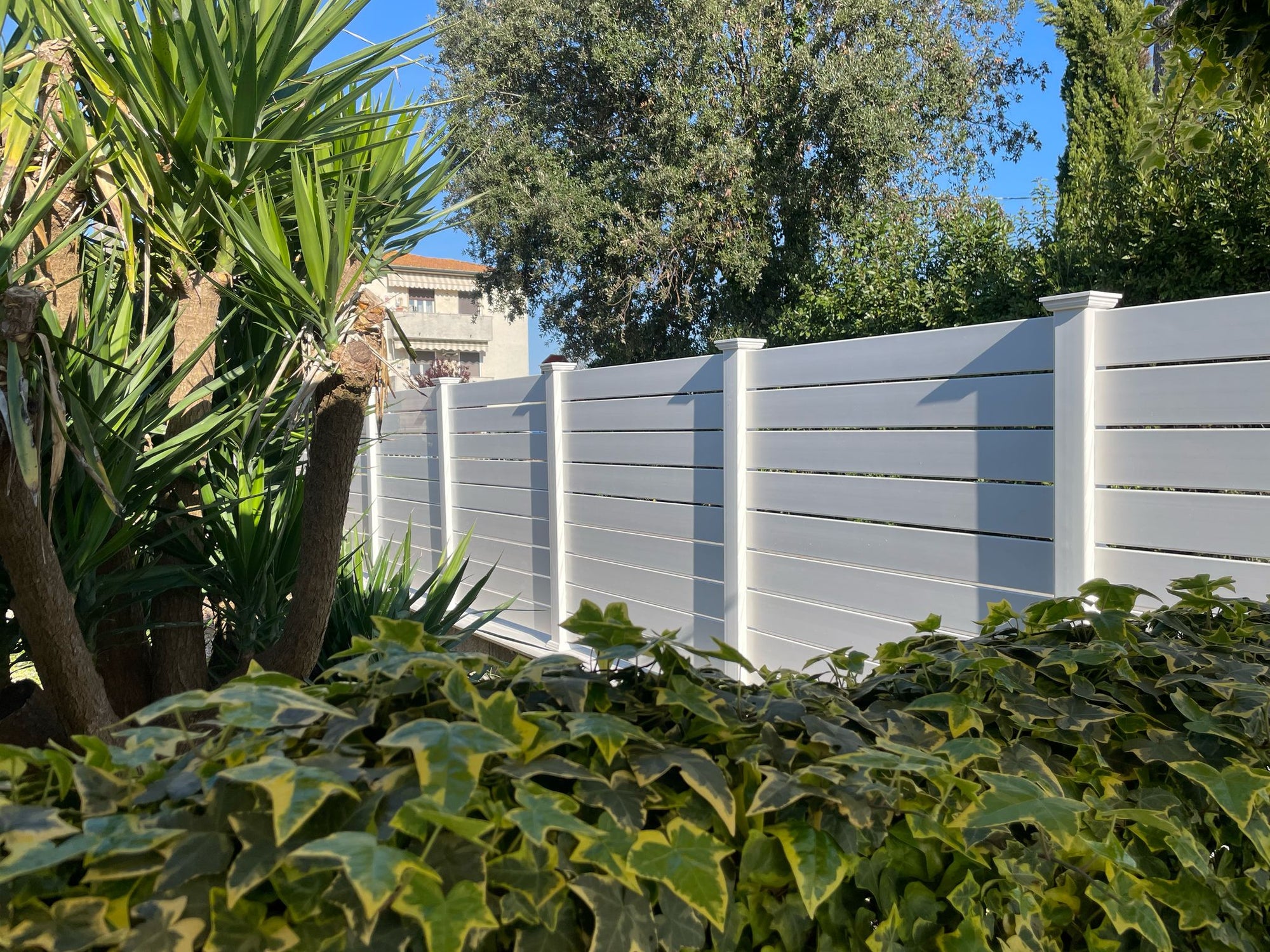 Not just wood: the unexpected green alternative