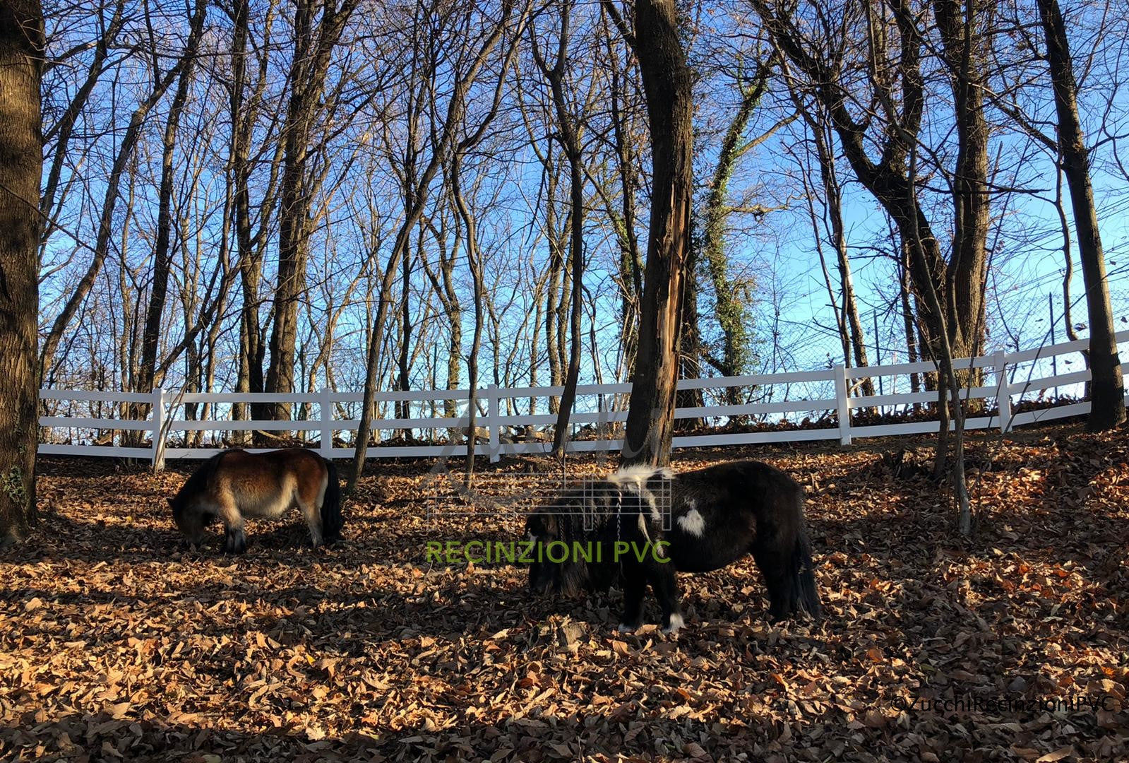 PVC Fences for Animals: Safety and Comfort