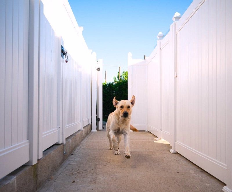 PVC Enclosures for Your Dog Boarding Kennel