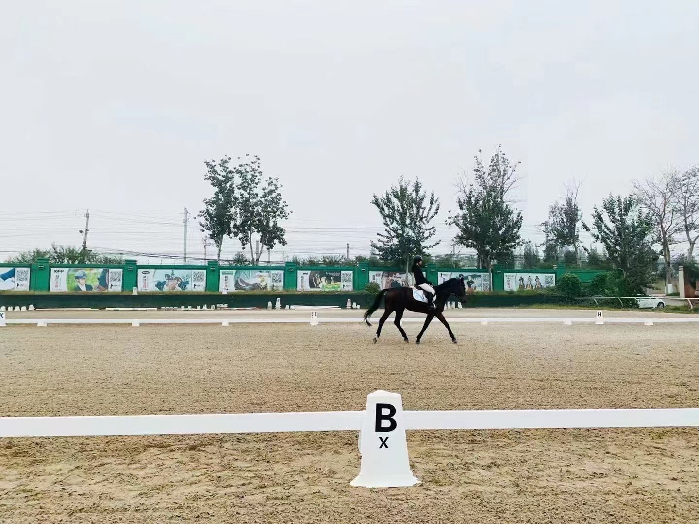 Young Riders: Dressage Letters in Safety