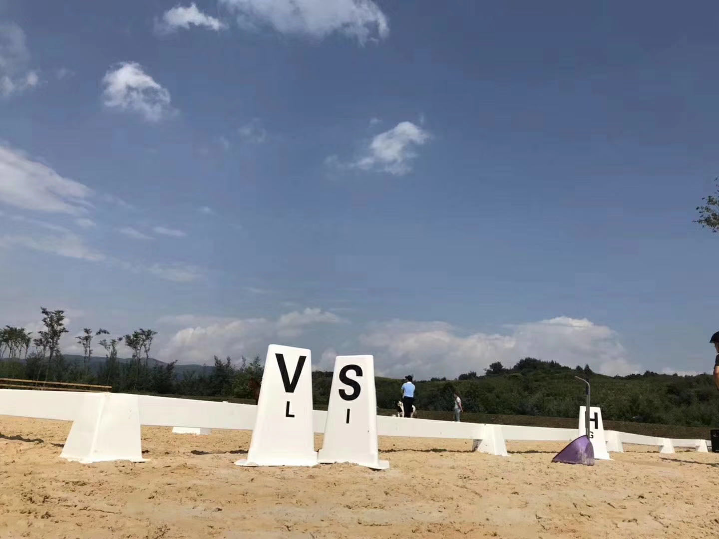 How to Create the Perfect Riding Arena: The Definitive Guide to PVC