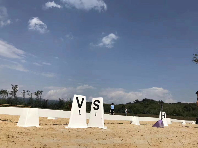 How to Create the Perfect Riding Arena: The Definitive Guide to PVC