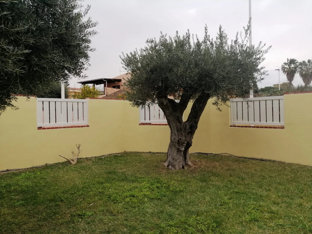 Stoccolma