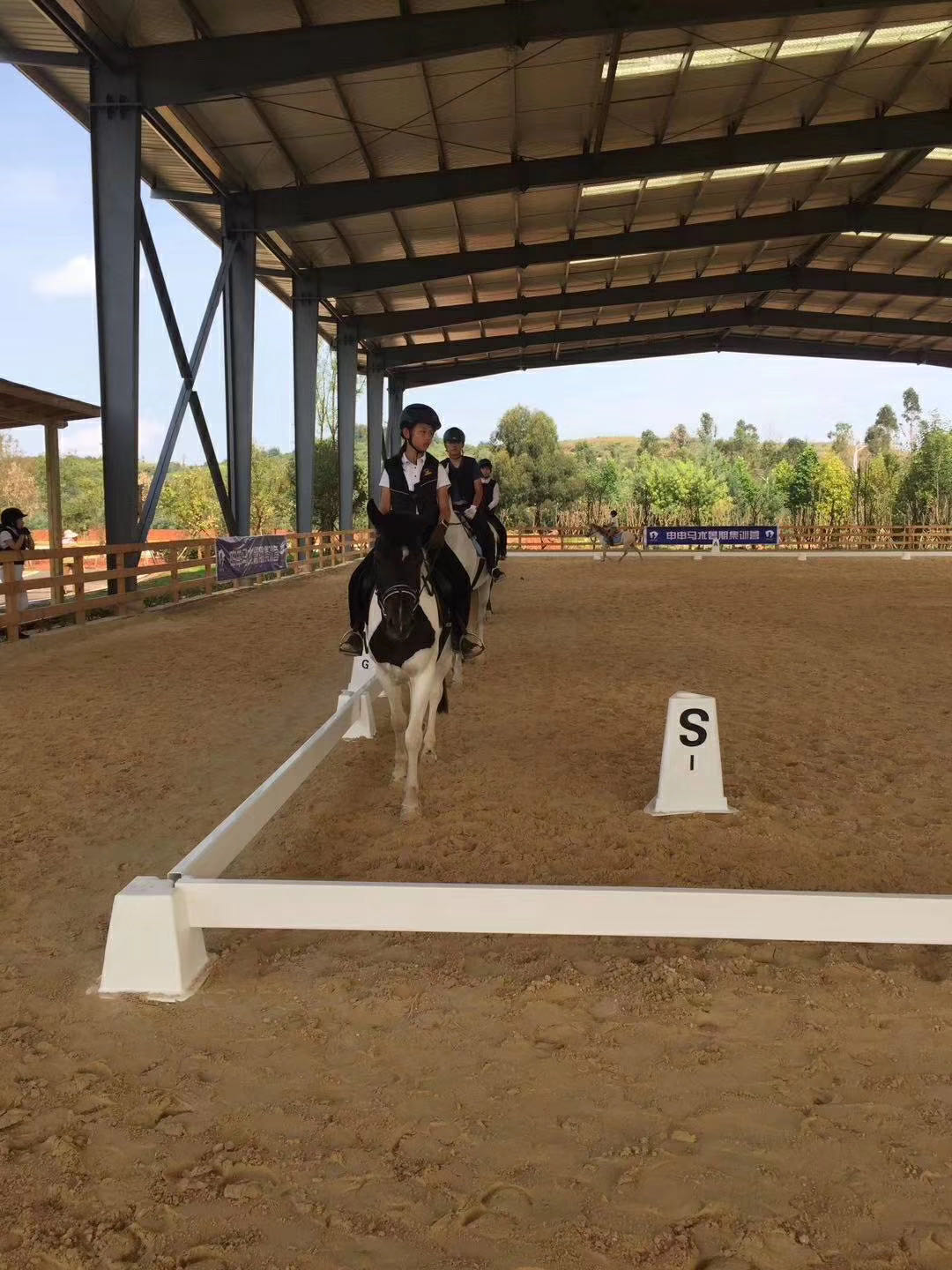 Come il PVC Rende il Dressage Più Accessibile e Confortevole